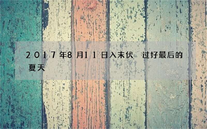 2017年8月11日入末伏 过好最后的夏天